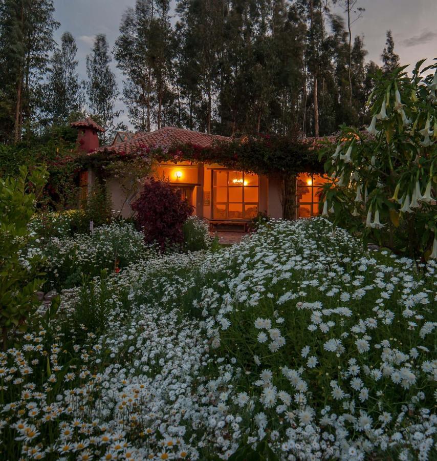 Willka T'Ika Hotell Urubamba Exteriör bild